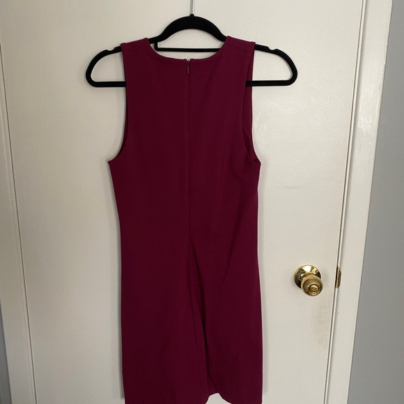 Mini Babaton Dress - Picture 2 of 3